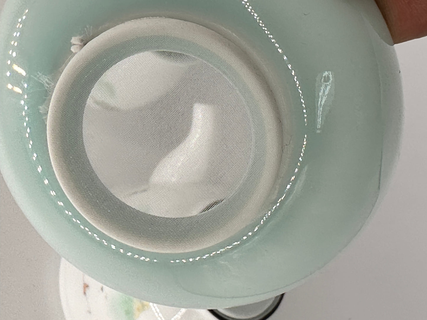 Jade Tree & Mountain 10 pieces Porcelain Tea Set